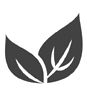Remzzzs Leaf